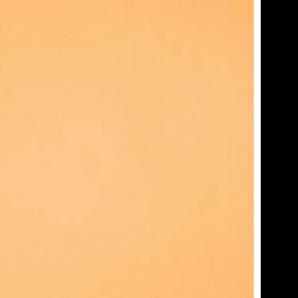 FOAMY 70X95 CM. MELON E.10 C.50